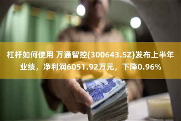 杠杆如何使用 万通智控(300643.SZ)发布上半年业绩，净利润6051.92万元，下降0.96%