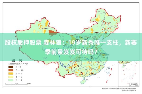 股权质押股票 森林狼：19岁新秀唯一支柱，新赛季前景岌岌可待吗？