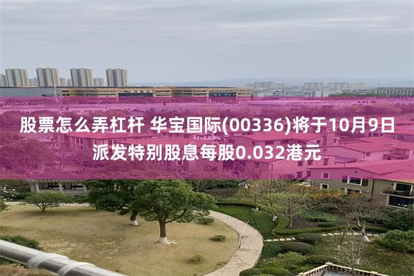 股票怎么弄杠杆 华宝国际(00336)将于10月9日派发特别股息每股0.032港元