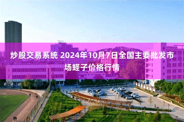 炒股交易系统 2024年10月7日全国主要批发市场蛏子价格行情