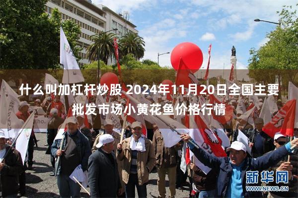 什么叫加杠杆炒股 2024年11月20日全国主要批发市场小黄花鱼价格行情