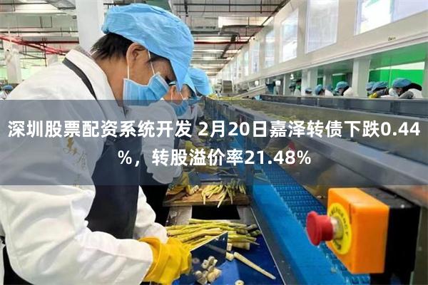 深圳股票配资系统开发 2月20日嘉泽转债下跌0.44%，转股溢价率21.48%