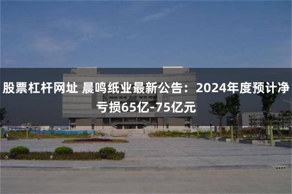 股票杠杆网址 晨鸣纸业最新公告：2024年度预计净亏损65亿-75亿元