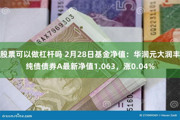 股票可以做杠杆吗 2月28日基金净值：华润元大润丰纯债债券A最新净值1.063，涨0.04%