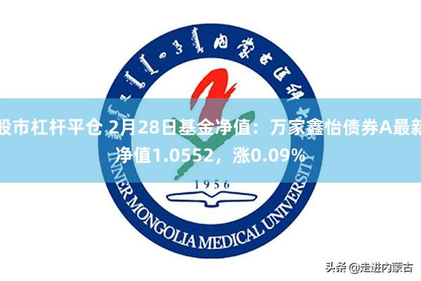 股市杠杆平仓 2月28日基金净值：万家鑫怡债券A最新净值1.0552，涨0.09%