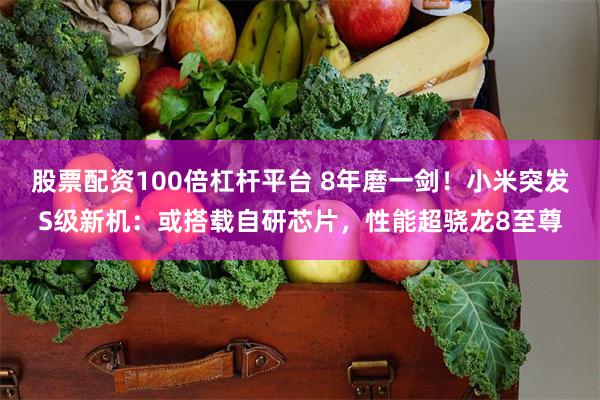 股票配资100倍杠杆平台 8年磨一剑！小米突发S级新机：或搭载自研芯片，性能超骁龙8至尊